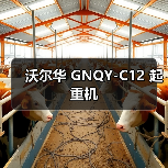 沃尔华 GNQY-C12 起重机（图1）