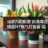 成都汽配批发 优质车灯 精品H7氙气灯套装 疝气灯（图3）