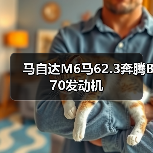 马自达M6马62.3奔腾B70发动机（图3）