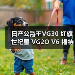 日产公爵王VG30 红旗世纪星 VG2O V6 福特 水星 广州云豹 发动机（图3）