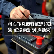 供应飞凡原野低温起动液 低温启动剂 启动液 汽柴油适用 350ML（图1）