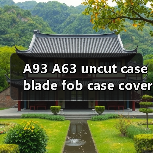 A93 A63 uncut case blade fob case cover folding car flip（图1）