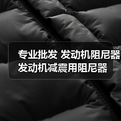 专业批发 发动机阻尼器 发动机减震用阻尼器（图3）