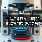 宁波厂家汽车、摩托车轮胎气门芯 锌合金气门芯阀 6001 6002（图1）