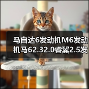 马自达6发动机M6发动机马62.32.0睿翼2.5发动机发动机总成（图1）