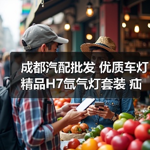 成都汽配批发 优质车灯 精品H7氙气灯套装 疝气灯（图1）