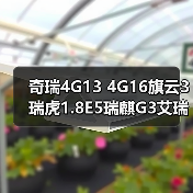 奇瑞4G13 4G16旗云3瑞虎1.8E5瑞麒G3艾瑞泽7点火线圈F01R00A041（图1）
