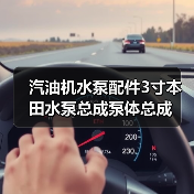 汽油机水泵配件3寸本田水泵总成泵体总成（图1）