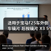 适用于宝马F25车外倒车镜片 后视镜片 X3 51167291219（图3）