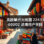 高能量点火线圈 22433-60U02 适用日产天际线 风度 桂冠 Stagea（图2）
