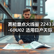 高能量点火线圈 22433-60U02 适用日产天际线 风度 桂冠 Stagea（图3）