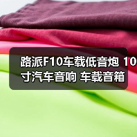 路派F10车载低音炮 10寸汽车音响 车载音箱 厂家一件代发（图4）