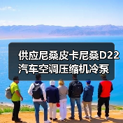 供应尼桑皮卡尼桑D22汽车空调压缩机冷泵（图3）