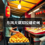 东风天锦双腔继动阀（图4）
