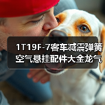 1T19F-7客车减震弹簧空气悬挂配件大金龙气囊（图1）
