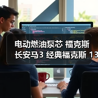 电动燃油泵芯 福克斯 长安马3 经典福克斯 13款之前 配套品质（图1）
