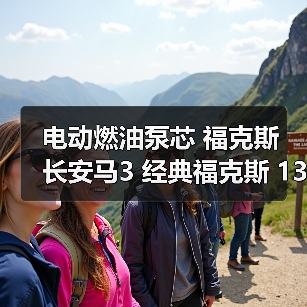 电动燃油泵芯 福克斯 长安马3 经典福克斯 13款之前 配套品质（图4）