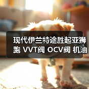 现代伊兰特途胜起亚狮跑 VVT阀 OCV阀 机油控制阀 24355-23770（图4）