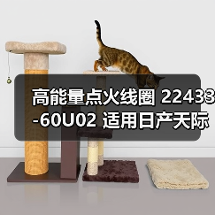 高能量点火线圈 22433-60U02 适用日产天际线 风度 桂冠 Stagea（图2）