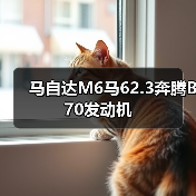 马自达M6马62.3奔腾B70发动机（图2）