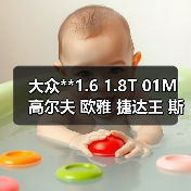 大众**1.6 1.8T 01M 高尔夫 欧雅 捷达王 斯柯达2.0 变速箱（图1）