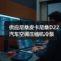 供应尼桑皮卡尼桑D22汽车空调压缩机冷泵（图1）