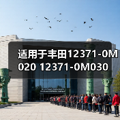 适用于丰田12371-0M020 12371-0M030（图2）