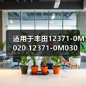 适用于丰田12371-0M020 12371-0M030（图1）