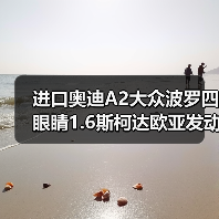 进口奥迪A2大众波罗四眼睛1.6斯柯达欧亚发动机配件发动机总成（图3）