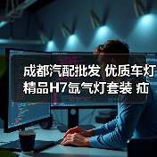成都汽配批发 优质车灯 精品H7氙气灯套装 疝气灯（图2）