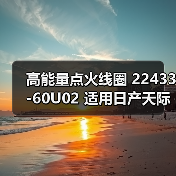 高能量点火线圈 22433-60U02 适用日产天际线 风度 桂冠 Stagea（图1）