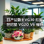 日产公爵王VG30 红旗世纪星 VG2O V6 福特 水星 广州云豹 发动机（图4）