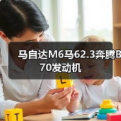 马自达M6马62.3奔腾B70发动机（图1）