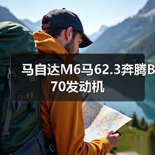 马自达M6马62.3奔腾B70发动机（图4）