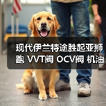 现代伊兰特途胜起亚狮跑 VVT阀 OCV阀 机油控制阀 24355-23770（图3）