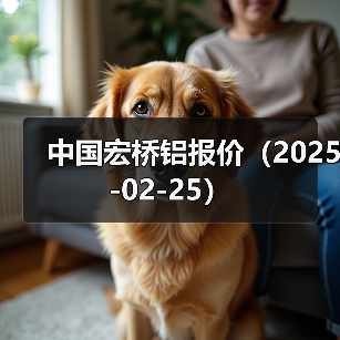 中国宏桥铝报价（2025-02-25）（图1）
