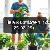 临沂废铝市场报价（2025-02-25）（图2）