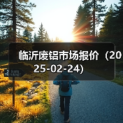 临沂废铝市场报价（2025-02-24）（图1）