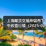 上海期货交易所铝市下午收盘行情（2025-02-24 15:03）（图3）