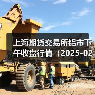 上海期货交易所铝市下午收盘行情（2025-02-25 15:03）（图4）