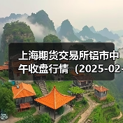 上海期货交易所铝市中午收盘行情（2025-02-25 11:33）（图3）