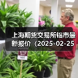 上海期货交易所铝市最新报价（2025-02-25 00:00）（图1）