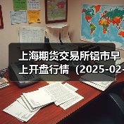 上海期货交易所铝市早上开盘行情（2025-02-25 09:03）（图3）