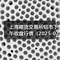 上海期货交易所铝市下午收盘行情（2025-02-25 15:03）（图3）