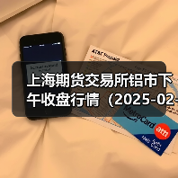 上海期货交易所铝市下午收盘行情（2025-02-25 15:03）（图1）