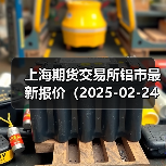 上海期货交易所铝市最新报价（2025-02-24 14:00）（图3）