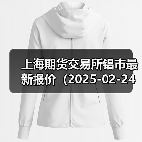上海期货交易所铝市最新报价（2025-02-24 10:15）（图2）