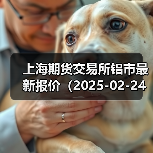 上海期货交易所铝市最新报价(2025-02-24 10:15)(图4) 上海期货交易所铝市最新报价(2025-02-24 10:15)(图4)