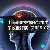 上海期货交易所铝市中午收盘行情（2025-02-24 11:33）（图3）