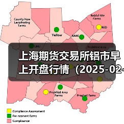 上海期货交易所铝市早上开盘行情（2025-02-24 09:03）（图1）